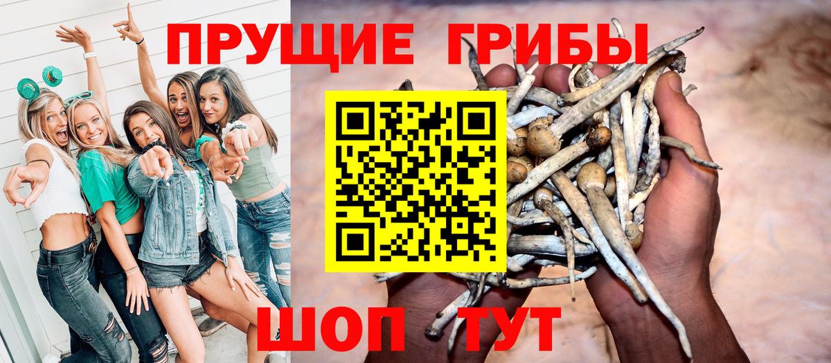 Галлюциногенные грибы Psilocybine cubensis  Вход с VPN  Сыктывкар 