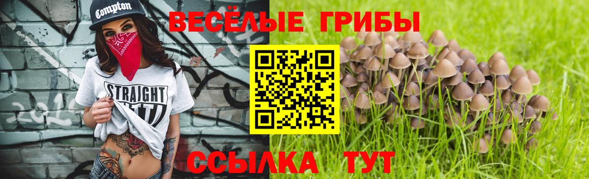 Галлюциногенные грибы мицелий Сыктывкар